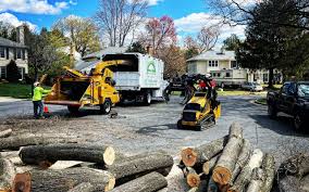 Best Sod Installation  in Greenhills, OH